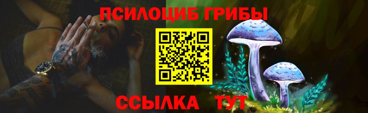 Галлюциногенные грибы Psilocybine cubensis  Псилоцибиновые грибы Magic Shrooms  Жигулёвск  Вход с VPN 